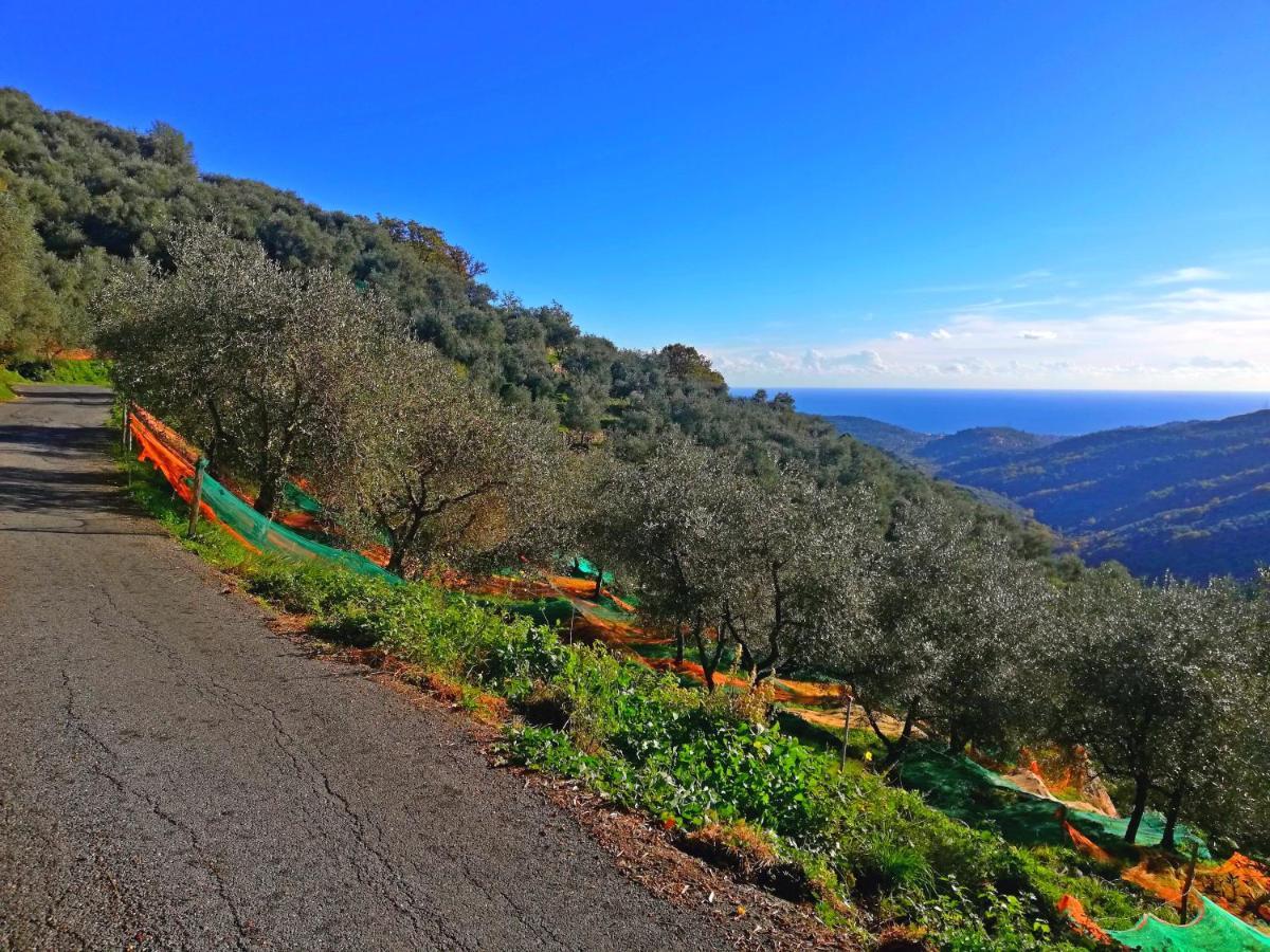 Case Vacanze Borgo Faraldi Villa Faraldi Kültér fotó